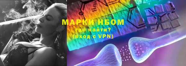 прущие грибы Балахна