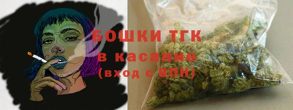 прущие грибы Балахна