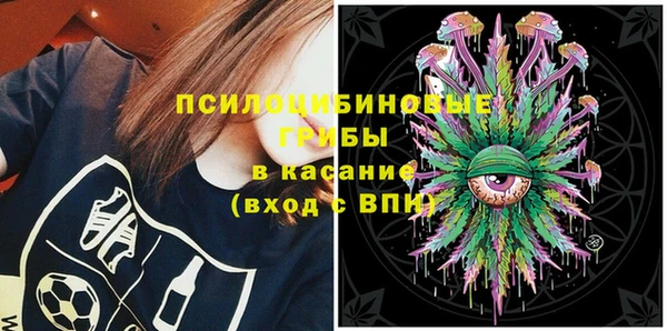 прущие грибы Балахна