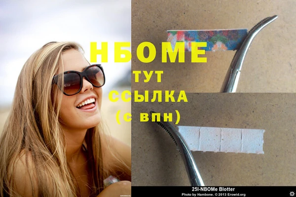прущие грибы Балахна