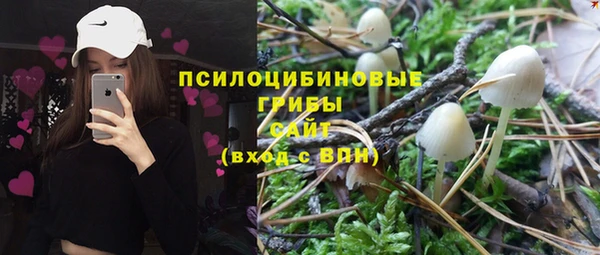 прущие грибы Балахна