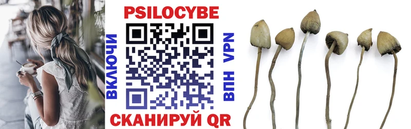 Галлюциногенные грибы GOLDEN TEACHER  Купить где  Строитель 
